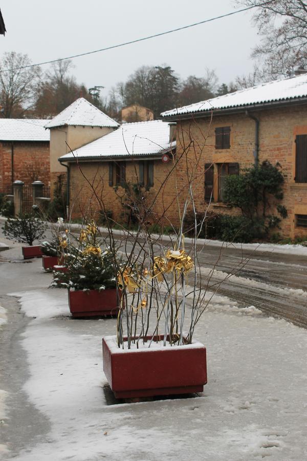 Hotel Restaurant Le Moulin De Saint Verand 外观 照片